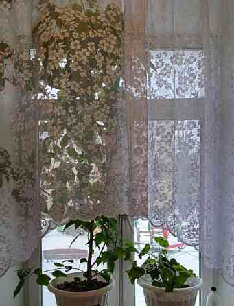 Комната, 20 м2, 1/3 эт. Санкт-Петербург