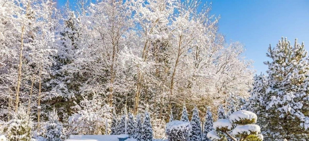 Дом, 850 м2, 15 соток, 3 эт. Одинцово - изображение 3