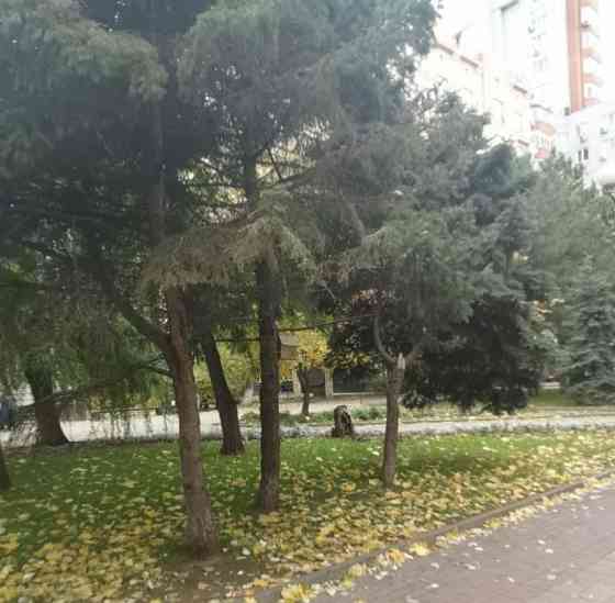 Комната, 50 м2, 5/6 эт. Ростов-на-Дону