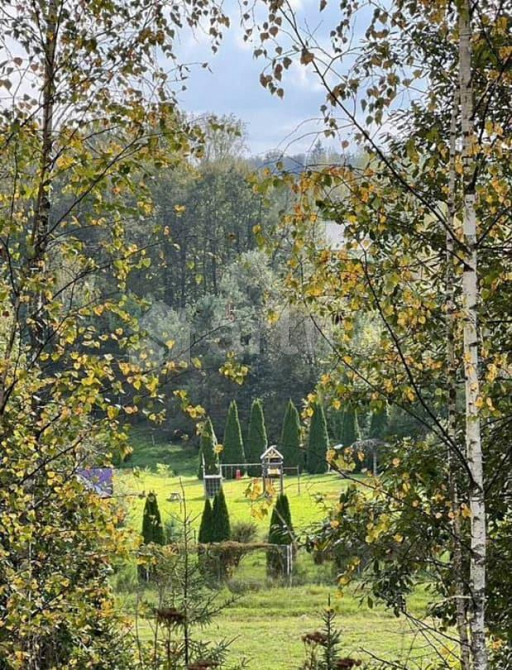 Дом, 40 м2, 20 соток, 1 эт. Ступино - изображение 4