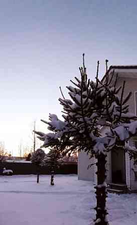 Дом, 150 м2, 6 соток, 2 эт. Санкт-Петербург