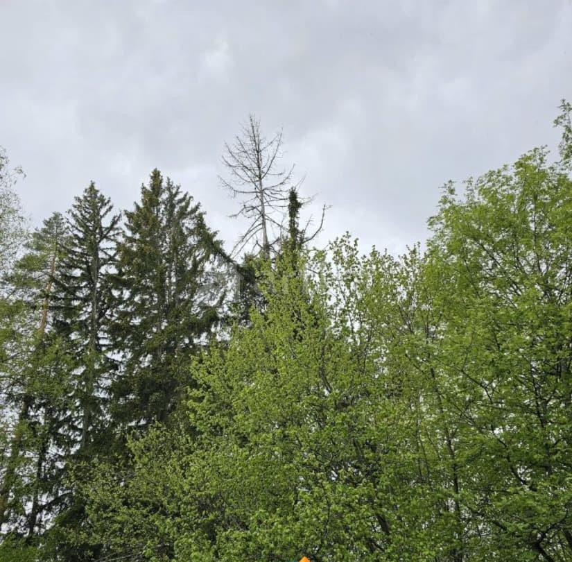 Дом, 170 м2, 30 соток, 2 эт. Одинцово - изображение 1