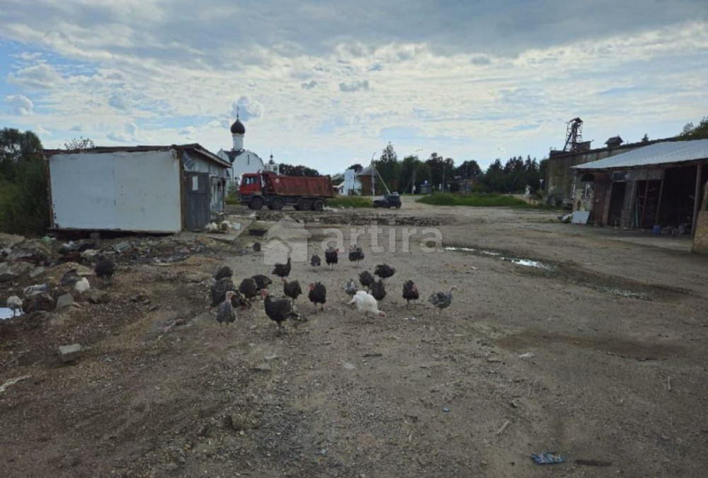 Коммерческий участок, 0.8 га Архангельское - изображение 7