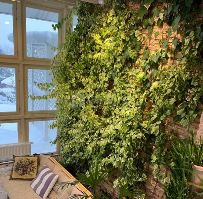 Коттедж, 181 м2, 20 соток, 2 эт. Санкт-Петербург - изображение 3