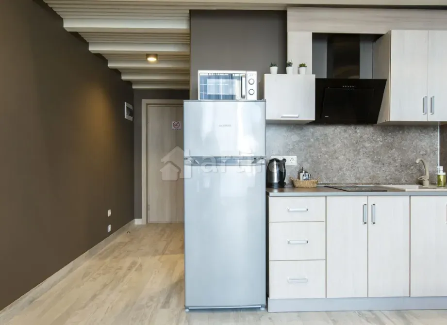 Апартаменты Duplex, 45 м² Шестиместный Сочи - изображение 3