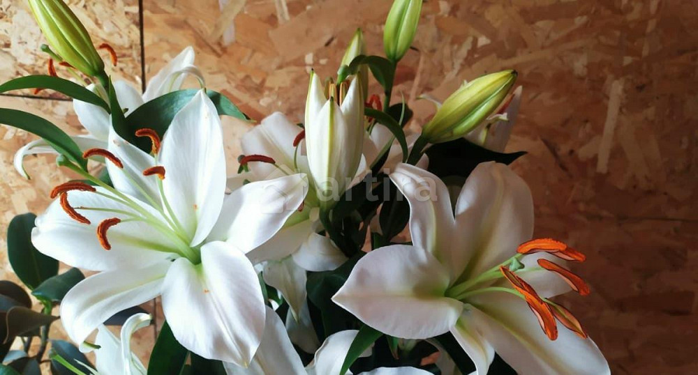 Дом, 36 м2, 6 соток, 1 эт. Новокузнецк - изображение 3