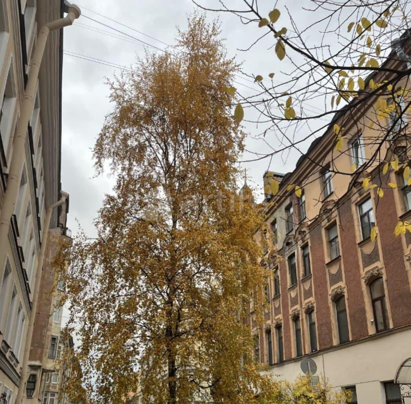 Комната, 140 м2, 1/6 эт. Санкт-Петербург - изображение 5