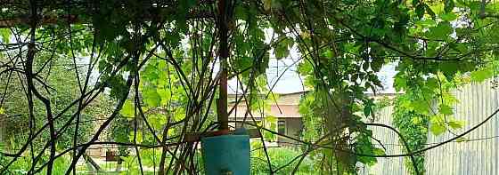 Дом, 26 м2, 6 соток, 1 эт. Саратов