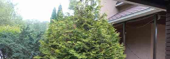 Коттедж, 320 м2, 11 соток, 2 эт. Домодедово