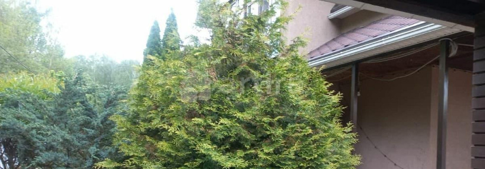 Коттедж, 320 м2, 11 соток, 2 эт. Домодедово - изображение 5