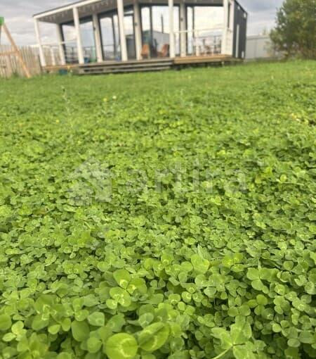 Дом, 73 м2 Тюмень - изображение 9