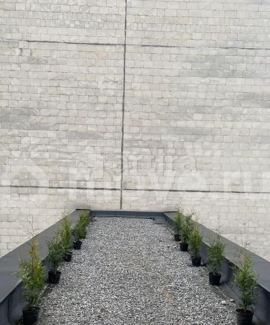 Студия, 125 м2, 3/8 эт. Москва - изображение 3