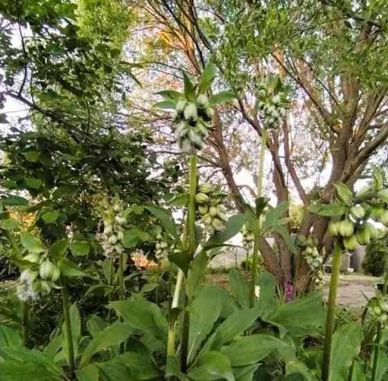 Дом, 43 м2, 4 сотки, 2 эт. Ставрополь