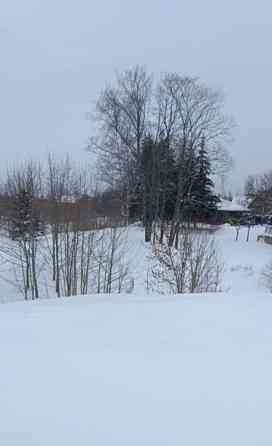 Дом, 110 м2, 20 соток, 2 эт. Санкт-Петербург