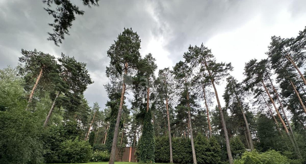 Коттедж, 1200 м2, 0.78 га, 2 эт. Барвиха - изображение 7