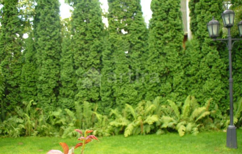 Коттедж, 450 м2 Мытищи - изображение 20