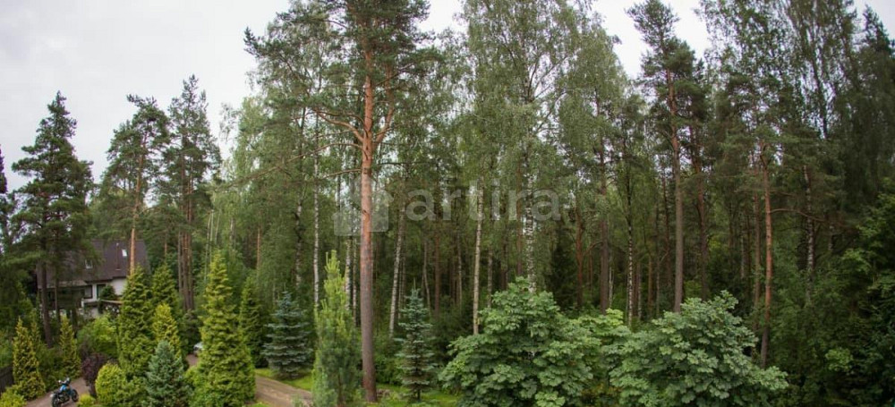 Коттедж, 385 м2, 27 соток, 2 эт. Санкт-Петербург - изображение 5