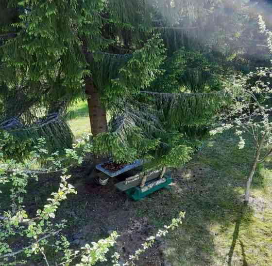 Дом, 40 м2, 40 соток, 2 эт. Кингисепп