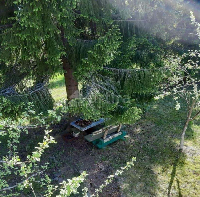 Дом, 40 м2, 40 соток, 2 эт. Кингисепп - изображение 4