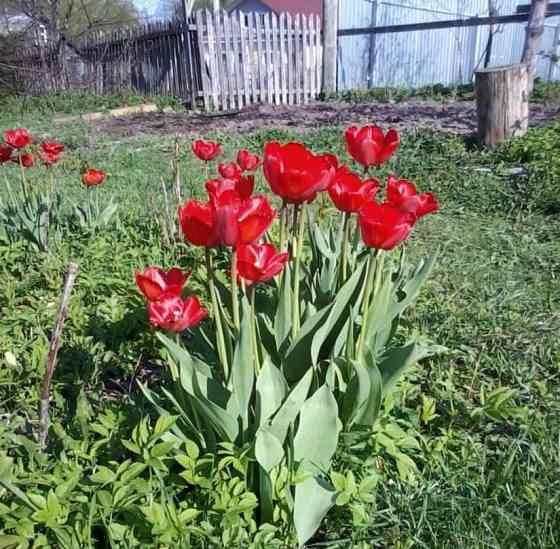 Дом, 220 м2, 22 сотки, 2 эт. Родники