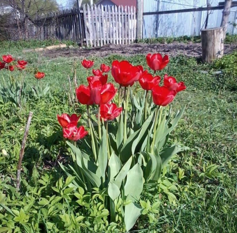 Дом, 220 м2, 22 сотки, 2 эт. Родники - изображение 6