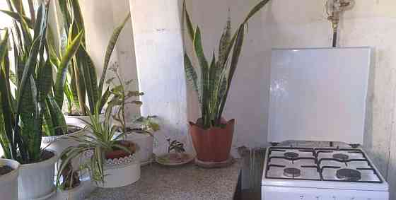 Комната, 100 м2, 3/4 эт. Ростов-на-Дону