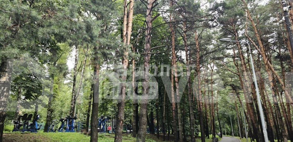 1-комн. квартира, 32 м2, 1/4 эт. Москва - изображение 3