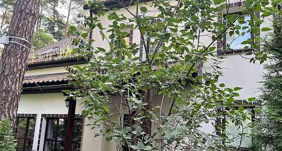 Дом, 507 м2, 40 соток, 4 эт. Раменское