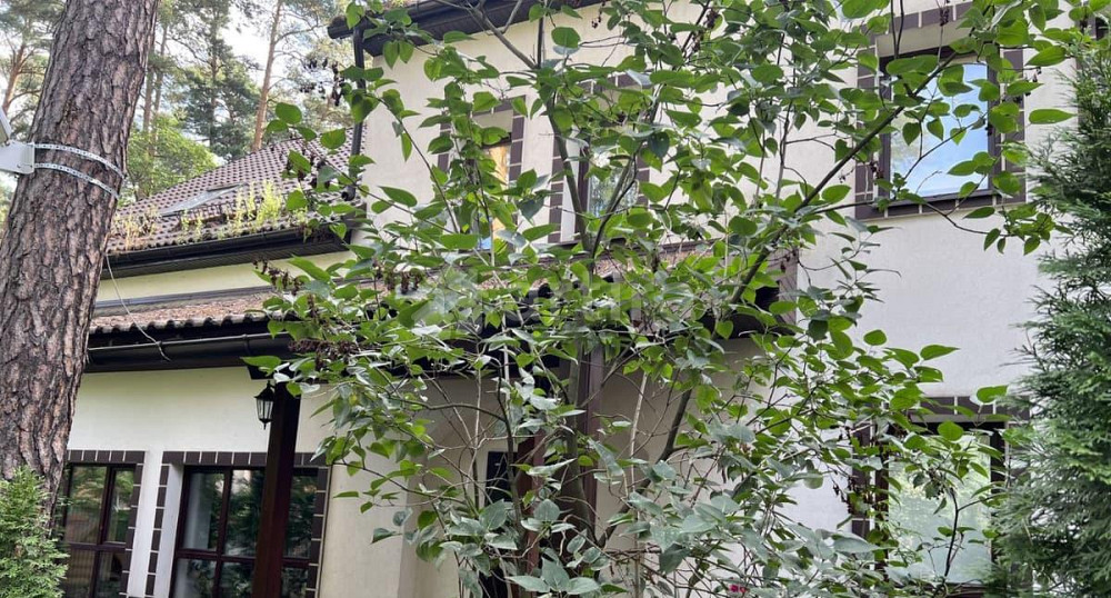 Дом, 507 м2, 40 соток, 4 эт. Раменское - изображение 2