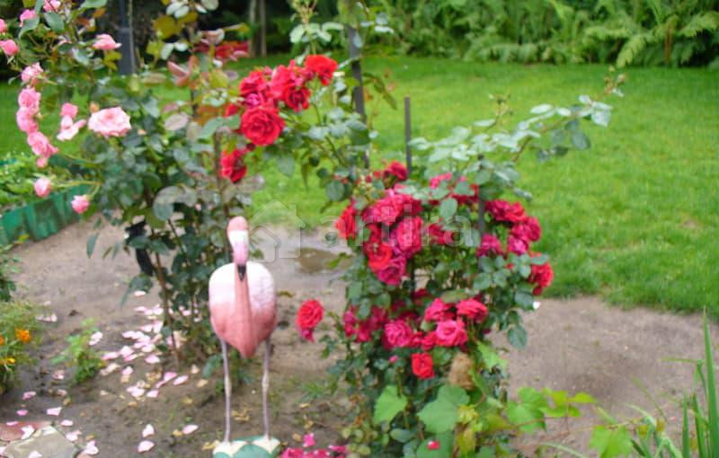 Коттедж, 450 м2 Мытищи - изображение 19