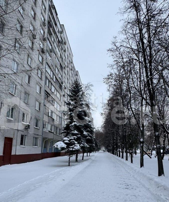 Студия, 13.5 м2, 1/12 эт. Москва - изображение 3