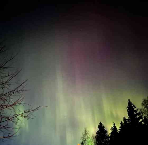 Дом, 56 м2, 5 соток, 1 эт. Сосново