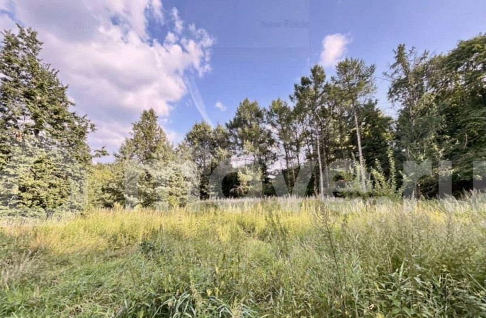 Студия, 15.7 м2, 3/4 эт. Москва - изображение 5