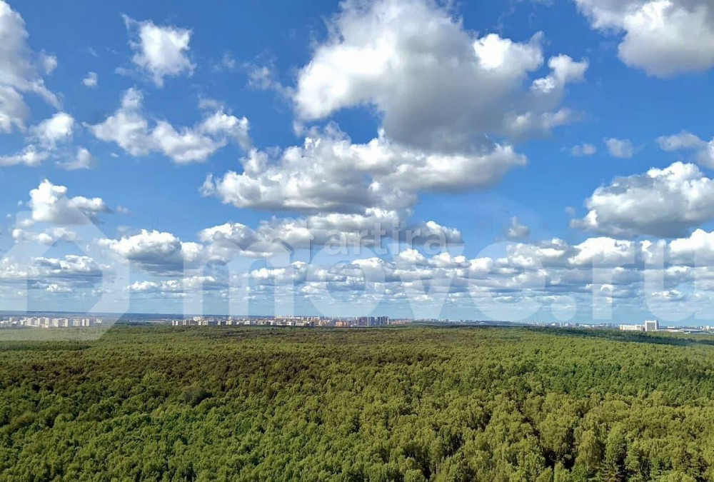 Студия, 56.1 м2, 30/31 эт. Москва - изображение 1