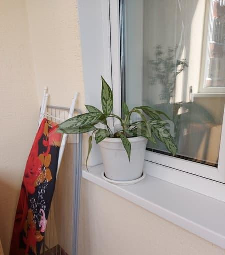 1-комн. апарт-ы, 47 м2, 4/15 эт. Тюмень - изображение 11