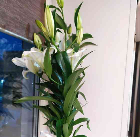 Дом, 36 м2, 6 соток, 1 эт. Новокузнецк