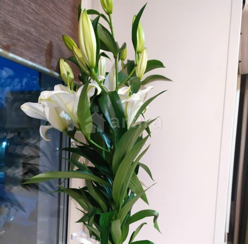 Дом, 36 м2, 6 соток, 1 эт. Новокузнецк - изображение 5