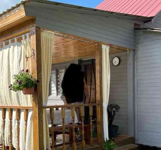 Дом, 50 м2, 18 соток, 2 эт. Балабаново