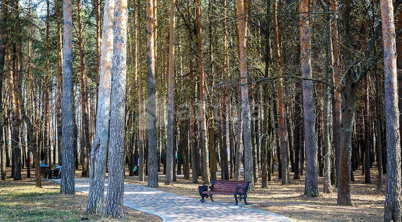 1-комн. квартира, 42 м2, 8/9 эт. Муром - изображение 15