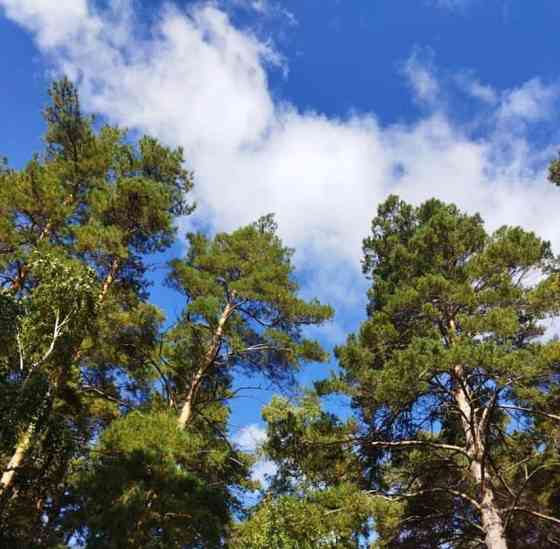 Комната, 15 м2, 4/5 эт. Искитим