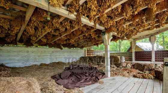 Коттедж, 1300 м2 Зеленоград