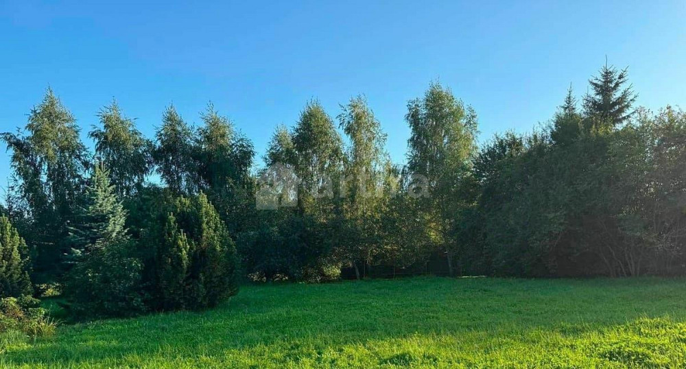 Дом, 218 м2, 20 соток, 2 эт. Истра - изображение 6