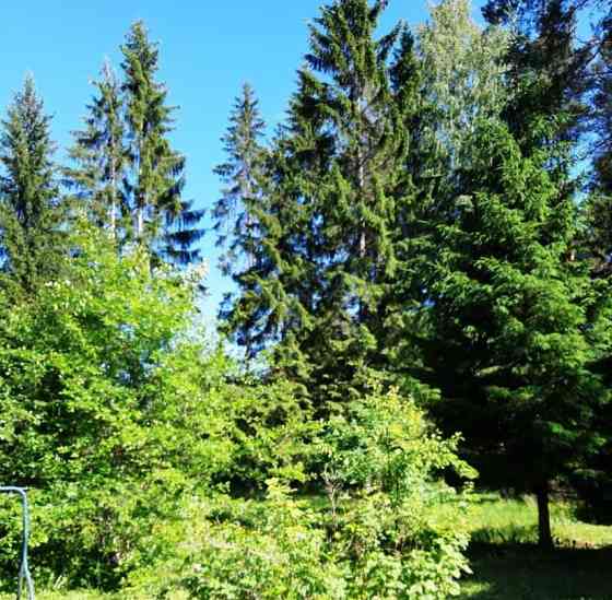 Дом, 40 м2, 40 соток, 2 эт. Кингисепп