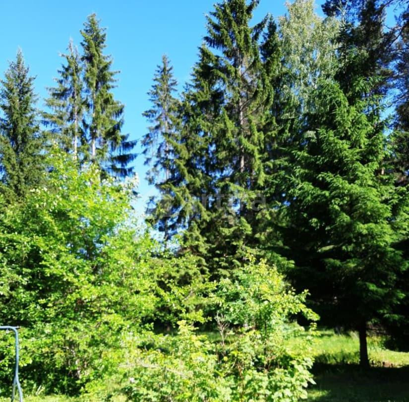 Дом, 40 м2, 40 соток, 2 эт. Кингисепп - изображение 3