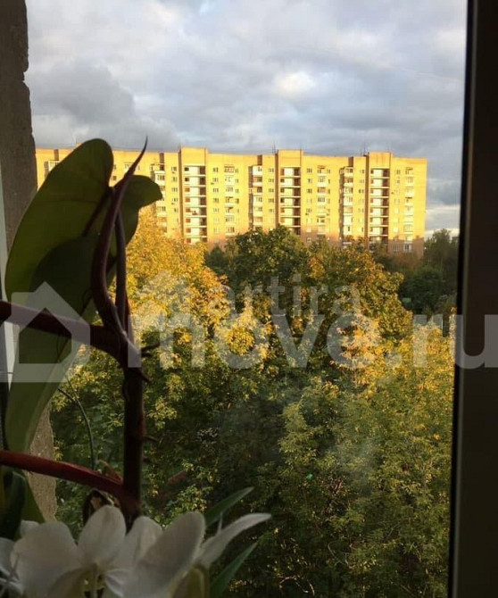 Комната, 13 м2, 5/5 эт. Москва - изображение 5