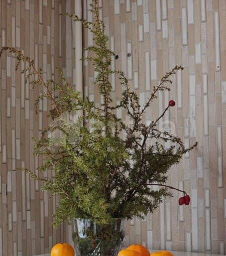 2-комн. квартира, 47 м2, 4/5 эт. Воткинск - изображение 6