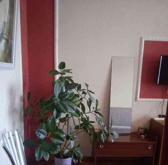 Комната, 17 м2, 10/16 эт. Москва