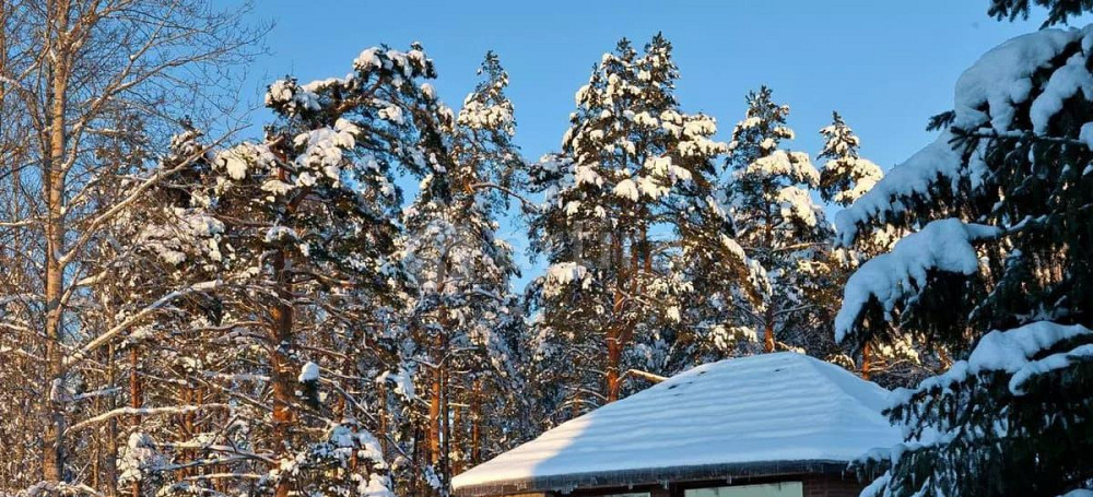 Коттедж, 650 м2, 20 соток, 2 эт. Сосново - изображение 7