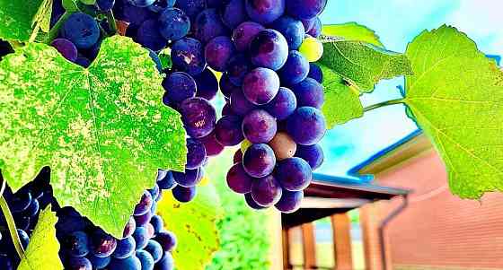 Коттедж, 150 м2, 2 сотки, 2 эт. Кисловодск