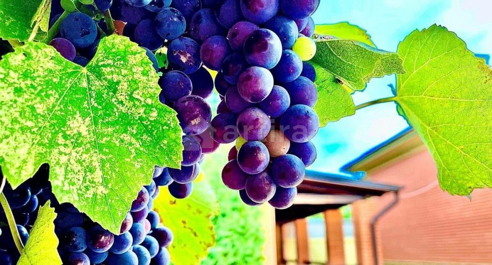 Коттедж, 150 м2, 2 сотки, 2 эт. Кисловодск - изображение 1